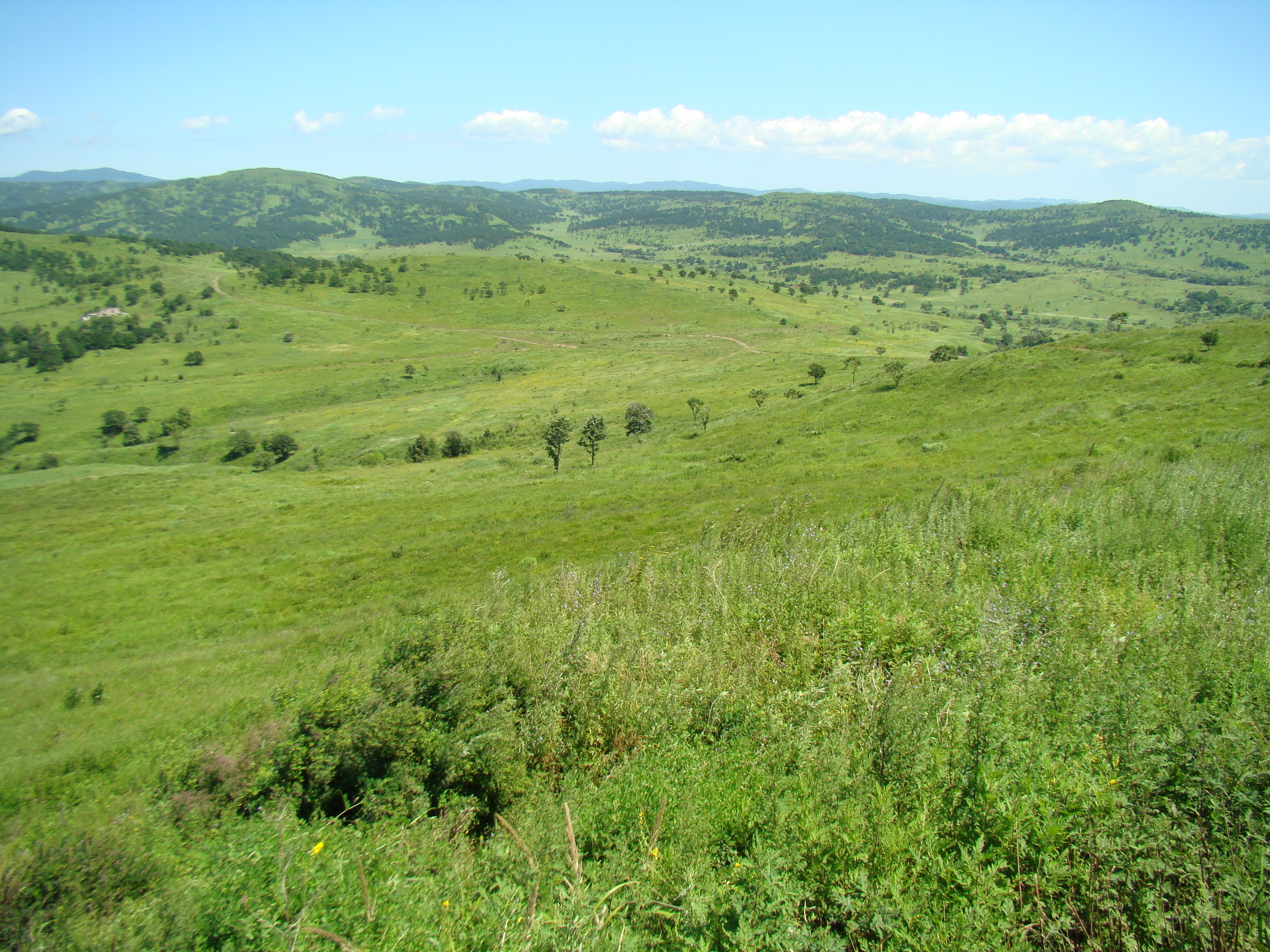 Bird lake area